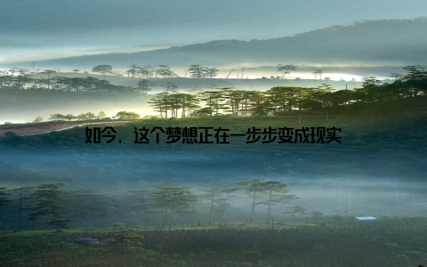 如今, 这个梦想正在一步步变成现实