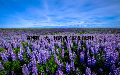 直到有一天, 我遇到了畜牧消炎针