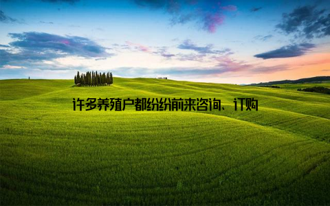 许多养殖户都纷纷前来咨询、订购