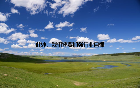 此外, 我们还要加强行业自律