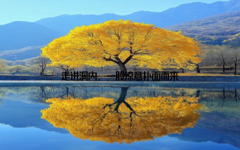 走进洞内, 一股凉意扑面而来