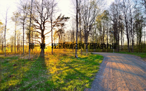 那一刻, 我深刻体会到了团队的力量