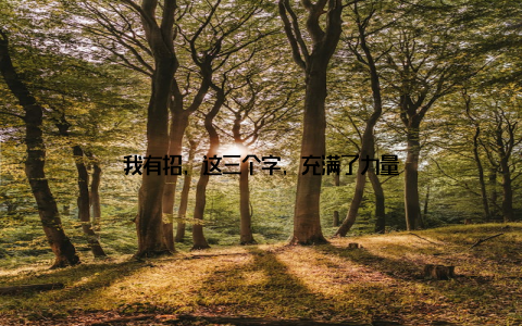 我有招, 这三个字, 充满了力量