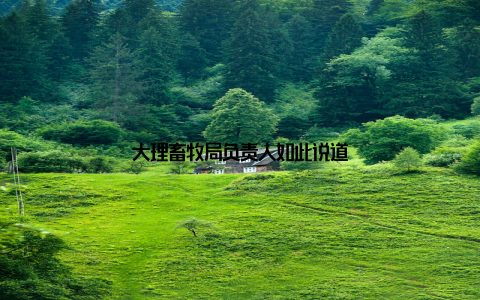 大理畜牧局负责人如此说道