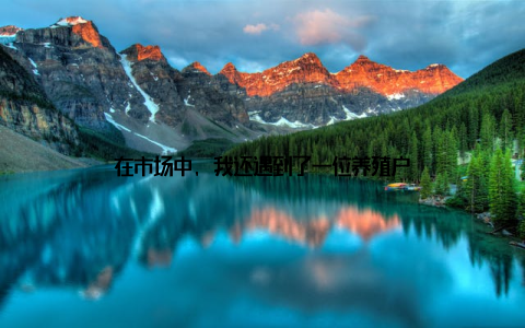 在市场中, 我还遇到了一位养殖户