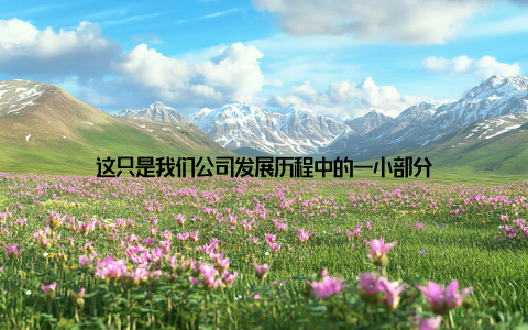 这只是我们公司发展历程中的一小部分