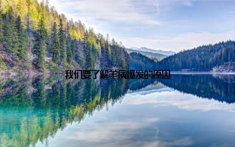 我们要了解羊病爆发的原因
