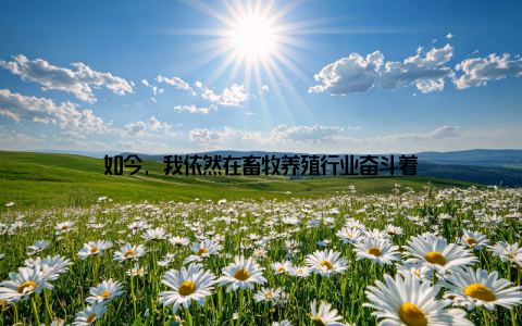 如今, 我依然在畜牧养殖行业奋斗着