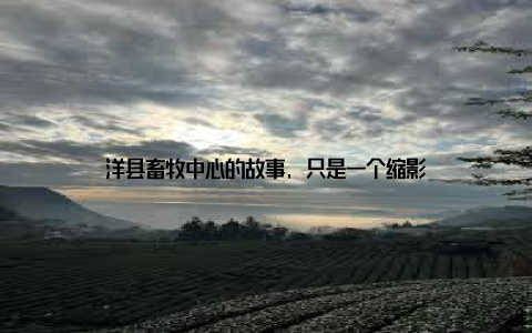 洋县畜牧中心的故事, 只是一个缩影