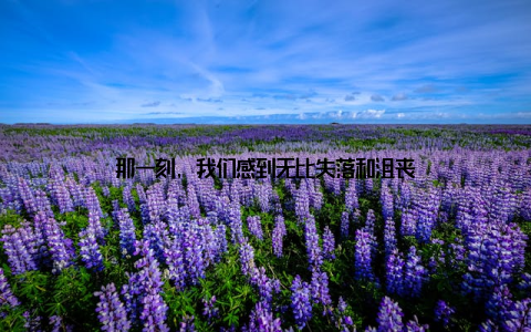 那一刻, 我们感到无比失落和沮丧