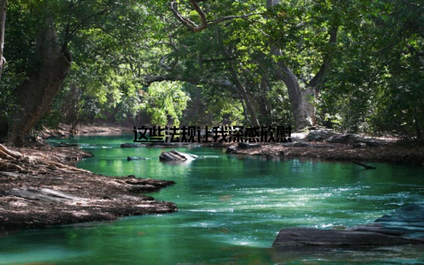 这些法规让我深感欣慰