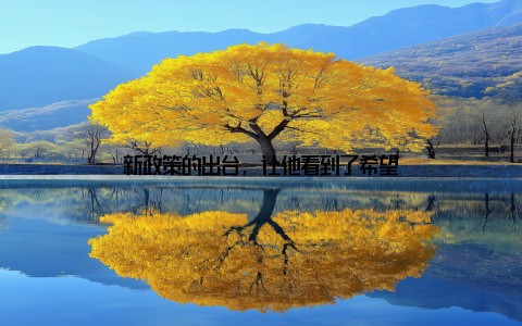 新政策的出台, 让他看到了希望