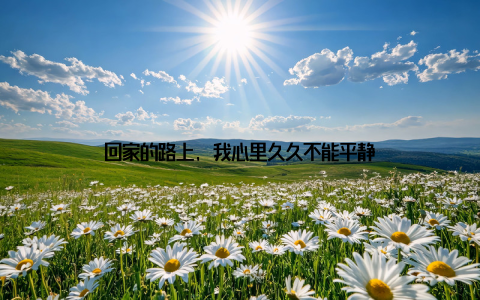 回家的路上, 我心里久久不能平静