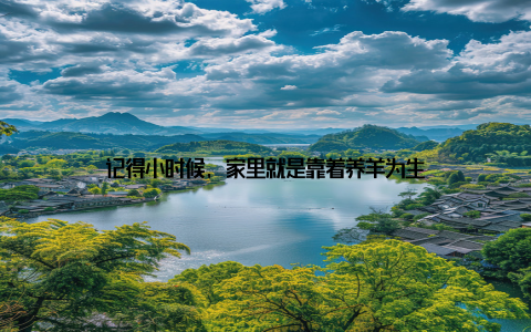 记得小时候, 家里就是靠着养羊为生