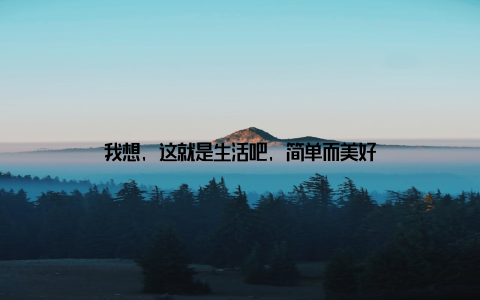我想, 这就是生活吧, 简单而美好