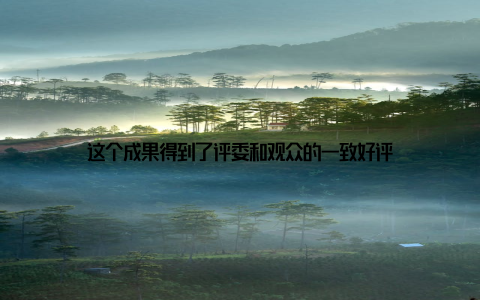 这个成果得到了评委和观众的一致好评