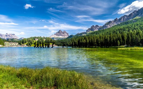 我犹豫了一下, 还是接通了电话