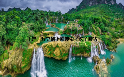 于是, 我立刻上网搜索了这个网站