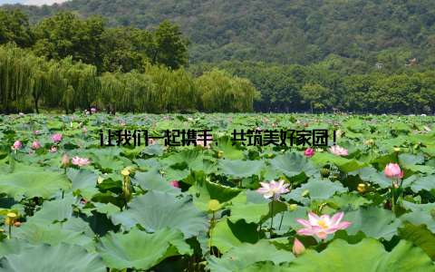 让我们一起携手, 共筑美好家园!